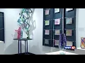 SU s 74th Biannual Senior Art Exhibition WMDT