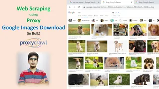Web Scraping with Proxy - Google Images Download in Bulk using Python