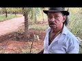 Download Lagu CHARLLES MOSTRA A JIBOIA E O NINHO DE JURITI, TIRINGA QUERIA MATAR | CHÁCARA COMÉDIA SELVAGEM