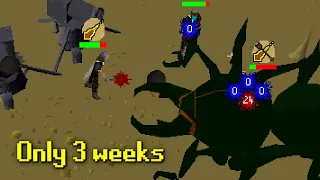 Very few RuneScape players experienced this Kalphite Queen 2004