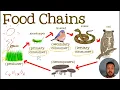 5 Study Guide Carbon Cycle
