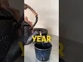 After holidays YouTubePrepare for 2025 with Relaxation and Rejuvenation