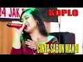 Download Lagu DANGDUT KOPLO CINTA SABUN MANDI VOC. NINA ARTEGA MUSIK