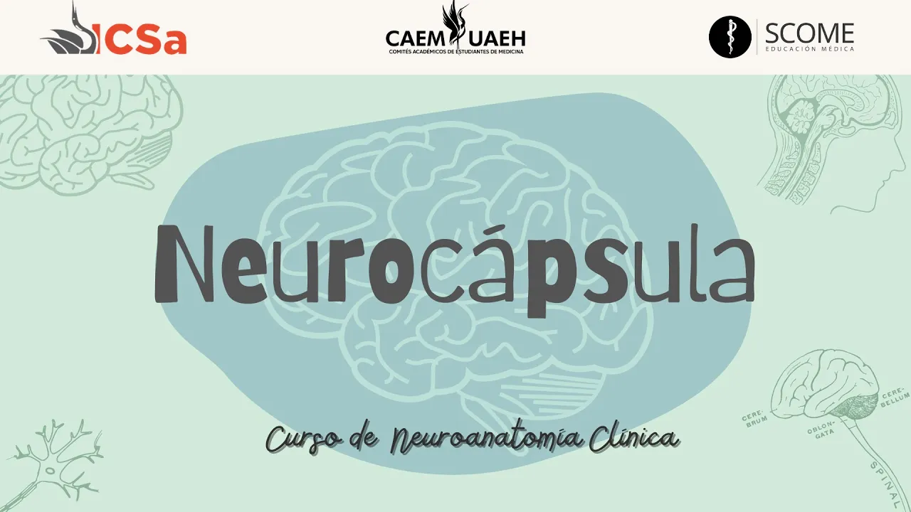 NEUROCÁPSULA: TIPOS DE AFASIAS #SCOME