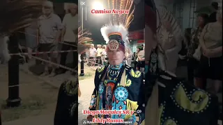                     دندنها