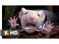 Video di Stuart Little (1999) - Stuck in the Washing Machine Scene (2/10) | Movieclips