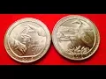 2015 Known Error Quarters - Varieties To Look For