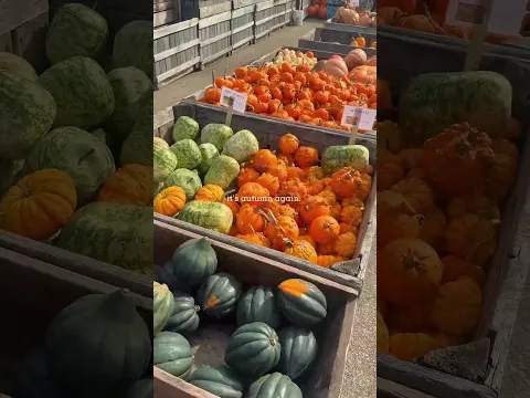 🍎 If autumn had a destination, this would be it