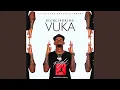 Vuka Mp3 Song Download