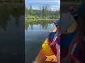 Download Lagu Kid Catches HUGE Bass! 🎣😲 EPIC Fishing Moment! #hugefish #Kidsfishing #shorts #Family #familyfun