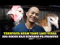Download Lagu HARGA AYAM,HEWAN,DAN BURUNG LANGKA HARI INI DIKIOS HAJI SUWARNO PASAR BURUNG PRAMUKA