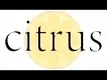 citrus - Opening | Azalea