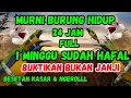 Download Lagu CUNGKOK GACOR VS KAPAS TEMBAK GACOR | MASTERAN MURAI BATU