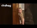 Download Lagu Nephew Shows His Uncle the Door || ViralHog