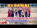 Download Lagu DJ DAWAI || DAWAI YANG TELAH LAMA KU PETIK || SENAM KREASI || SS CANTIK