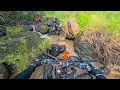 Download Lagu Hiu Selatan 2025 | Indonesian Jungle Ride | Dieter Rudolf | Insta360
