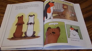 ferret fun by karen rostoker gruber read aloud for kids