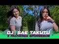 Download Lagu DJ  SAE TAKUTU X PACHANGA SPONGEBOB