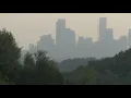 Cedar fever spikes as Texas scientists search for solutions