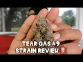 Tear Gas S13 strain review
