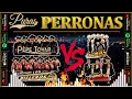 Los Rieleros Polo Urias Pepe Tovar Conjunto Primavera Puras Perronas