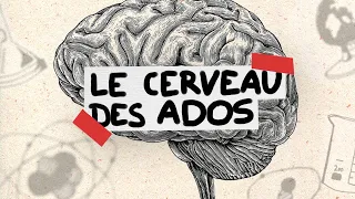 Le cerveau des ados expliqué en 3 minutes