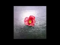 呪い ( '79 )　山崎ハコ　/　Hako Yamasaki　" CURSE "