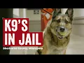 K9 Officer program at Sherburne County Jail