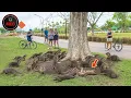 Download Lagu Moments You Must See To Believe | Strange Creatures P2