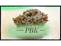 Strain Review - Pbk