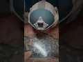 Here s a quick Helmet Up-Armor Install in under 1 minute