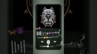 اغنية كلب رعد 