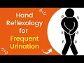 Download Lagu Hand Reflexology for Frequent Urination