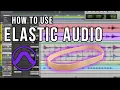 Pro Tools Elastic The Ultimate Guide for Beginners