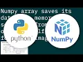 How is the memory allocated for numpy arrays in python