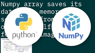 How is the memory allocated for numpy arrays in python