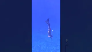 Life on a Tiny Atoll in the South Pacific