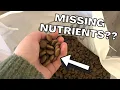Nutro Natural Choice Dog Food Review Watch BEFORE You Buy