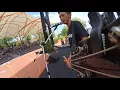 Download Lagu Amplifier Band - Dara Muda (Cover)