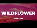 Download Lagu Billie Eilish - WILDFLOWER (Lyrics)
