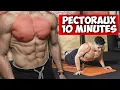 PECTORAUX MASSIFS ENTRAINEMENT MAISON 10 MINUTES !