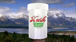 disjointed all commercials season 1 smooth transitions