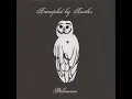 Victory by Trampled By Turtles