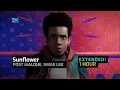 Post Malone Swae Lee - Sunflower LOOP EXTENDED
