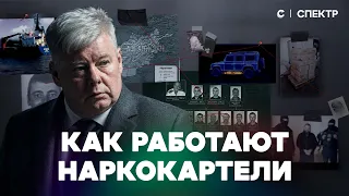 Как работают наркокартели: контрабанда в абрикосах, корабли с кокаином и «крыша» во власти