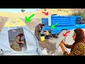 Download Lagu Forced migration: Mahbooba decided to leave the mountain hut.