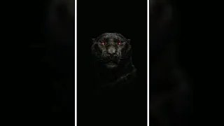 مصدوم مهموم ريمكس جامد عظمة 