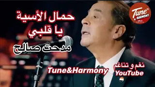 حمال الأسية يا قلبي   مدحت صالح  فايزة احمد  نغم وتناغم  اكسبلور                               دندنها