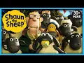 Download Lagu Shaun the Sheep🐑 Full Episodes ⚾🏏Sports Battle: Sheep VS Pigs (Competition) | Cartoons for Kids