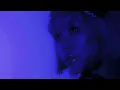 XAMIYA - ANDROMEDA (Official Music Video)